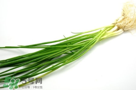 2017過(guò)年小蔥會(huì)漲價(jià)嗎？2017年春節(jié)小蔥價(jià)格預(yù)測(cè)