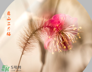 七九是哪一天？2017年七九是哪天？