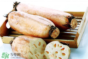 蓮藕多少錢一斤？蓮藕多少錢一斤2017？