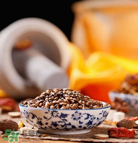 喝大麥茶會(huì)腹瀉嗎?喝大麥茶腹瀉怎么辦? 喝大麥茶會(huì)腹瀉嗎?喝大麥茶腹瀉怎么辦?