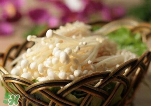 金針菇不能和什么一起吃？金針菇的食用禁忌