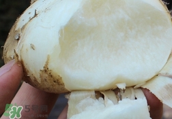 涼薯可以和雞蛋一起吃嗎?涼薯能和雞蛋同吃嗎? 涼薯可以和雞蛋一起吃嗎?涼薯能和雞蛋同吃嗎?