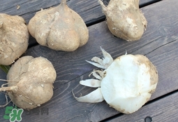 涼薯可以和雞蛋一起吃嗎?涼薯能和雞蛋同吃嗎? 涼薯可以和雞蛋一起吃嗎?涼薯能和雞蛋同吃嗎?