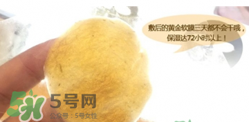 shangpree香蒲麗黃金面膜怎么樣？好用嗎？