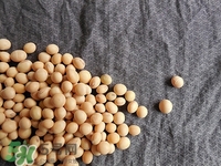 對(duì)心臟有益的食物有哪些？對(duì)心臟有好處的食物大全