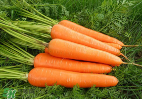 胡蘿卜心變白能吃嗎？胡蘿卜心發(fā)白可以吃嗎？