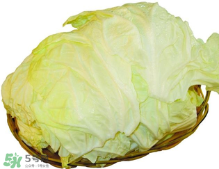 白菜發(fā)苦能吃嗎？大白菜發(fā)苦是什么原因？