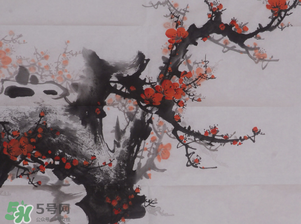 梅花可以放臥室嗎？梅花放在臥室風水好嗎？