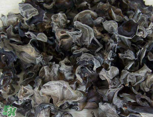 干木耳泡多久可以吃？干木耳泡了兩天還能吃嗎？