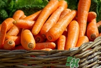 吃什么食物預防乳腺癌 預防乳腺癌吃什么最好 吃什么食物預防乳腺癌 預防乳腺癌吃什么最好