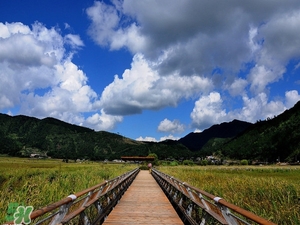 春節(jié)去云南穿什么？云南春節(jié)過年穿什么衣服？