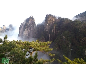 春節(jié)去廈門穿什么衣服？過年春節(jié)廈門穿什么？