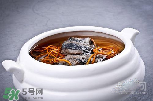 蟲草花怎么吃？蟲草花的吃法用量