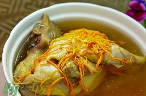 蟲草花怎么吃？蟲草花的吃法用量