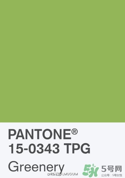 草綠色配什么顏色好看？草綠色和什么顏色最搭？