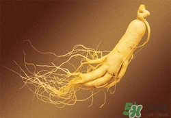 懷孕能吃野山參嗎?孕婦吃野山參好嗎 懷孕能吃野山參嗎?孕婦吃野山參好嗎