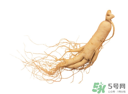 懷孕能吃野山參嗎?孕婦吃野山參好嗎 懷孕能吃野山參嗎?孕婦吃野山參好嗎