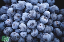 藍(lán)莓可以空腹吃嗎?空腹吃藍(lán)莓好嗎 藍(lán)莓可以空腹吃嗎?空腹吃藍(lán)莓好嗎