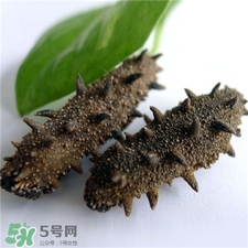 干海參用熱水泡發(fā)嗎?干海參用自來水泡行嗎? 干海參用熱水泡發(fā)嗎?干海參用自來水泡行嗎?