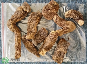 野生肉蓯蓉多少錢一斤？肉蓯蓉價格一斤多少錢？