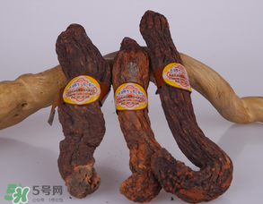 鎖陽(yáng)和肉蓯蓉一起泡酒可以嗎？肉蓯蓉和鎖陽(yáng)的區(qū)別