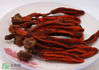 回春草有什么功效？回春草的功效與作用 