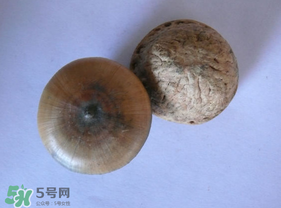 風(fēng)流果多少錢一斤？風(fēng)流果的價(jià)格