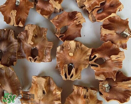 核桃分心木多少錢一斤？核桃分心木價(jià)格