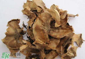 分心木真的能治失眠嗎？分心木治療失眠有奇效