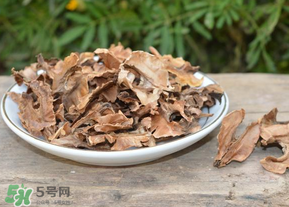 分心木真的能治失眠嗎？分心木治療失眠有奇效