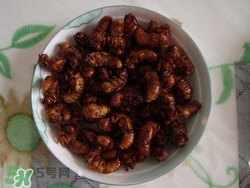 知了能吃嗎它有什么營養(yǎng)和價(jià)值?知了怎么做好吃