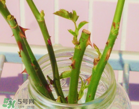 立春可以理發(fā)嗎？立春可以洗頭嗎？