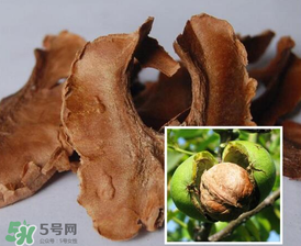 核桃分心木能長(zhǎng)期喝嗎？核桃分心木一天喝幾次？