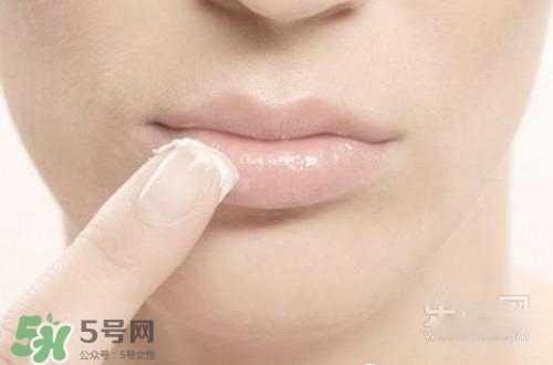 嘴唇干裂涂蜂蜜有用嗎？怎樣用蜂蜜改善嘴唇干裂？