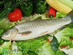 吃草魚(yú)可以暖胃嗎?草魚(yú)怎么吃最暖胃? 吃草魚(yú)可以暖胃嗎?草魚(yú)怎么吃最暖胃?