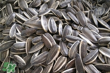 乙肝能吃瓜子嗎？乙肝患者不能食用葵瓜子