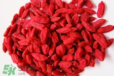 有乙肝能吃枸杞嗎？乙肝病人可以吃枸杞嗎？