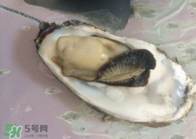 生蠔多少錢一斤？生蠔一斤有幾個(gè)？