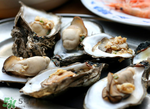 生蠔多少錢一斤？生蠔一斤有幾個(gè)？