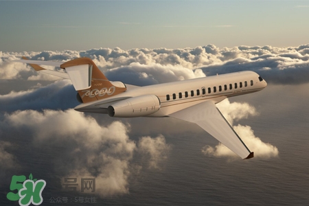 有乙肝能出國嗎？有乙肝病毒攜帶能出國嗎？