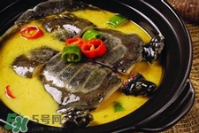 有乙肝可以吃甲魚嗎？乙肝患者禁吃甲魚