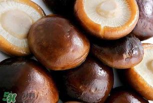 一歲寶寶可以吃香菇嗎？寶寶多大可以吃香菇？