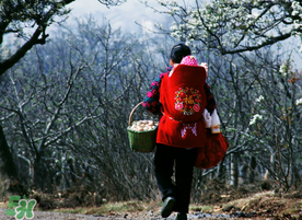 立春可以回娘家嗎？立春能在娘家過嗎？