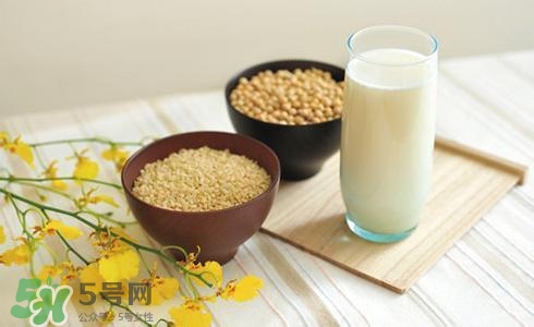 豆?jié){喝不完怎么保存?豆?jié){喝不完有何妙用 豆?jié){喝不完怎么保存?豆?jié){喝不完有何妙用