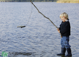立春能釣魚(yú)嗎？立春好釣魚(yú)嗎？