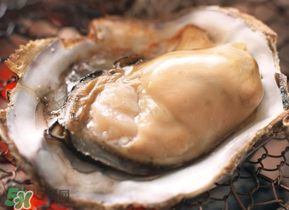 生蠔隔夜可以吃嗎？隔夜的生蠔能吃嗎？