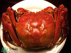 臘月吃什么蟹？臘月吃公蟹還是母蟹？