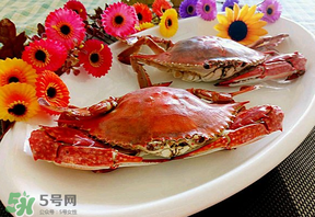 臘月吃什么蟹？臘月吃公蟹還是母蟹？