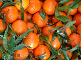 臘月吃什么水果？臘月有什么好吃的水果？