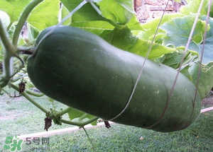 臘月吃什么？臘月吃什么好？